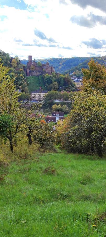 Fewo Traumblick Kreuzwertheim 外观 照片